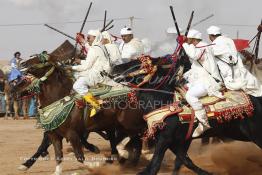 Image du Maroc Professionnelle de  Course typiquement marocaine dite ''la Fantasia'' organisé dans un site désertique sur lequel la ville de Tan Tan a toujours accueilli la majorité des tribus et des grandes familles nomades du désert lors d'un grand moussem, Samedi 24 Mars 2012. (Photo / Abdeljalil Bounhar)

 